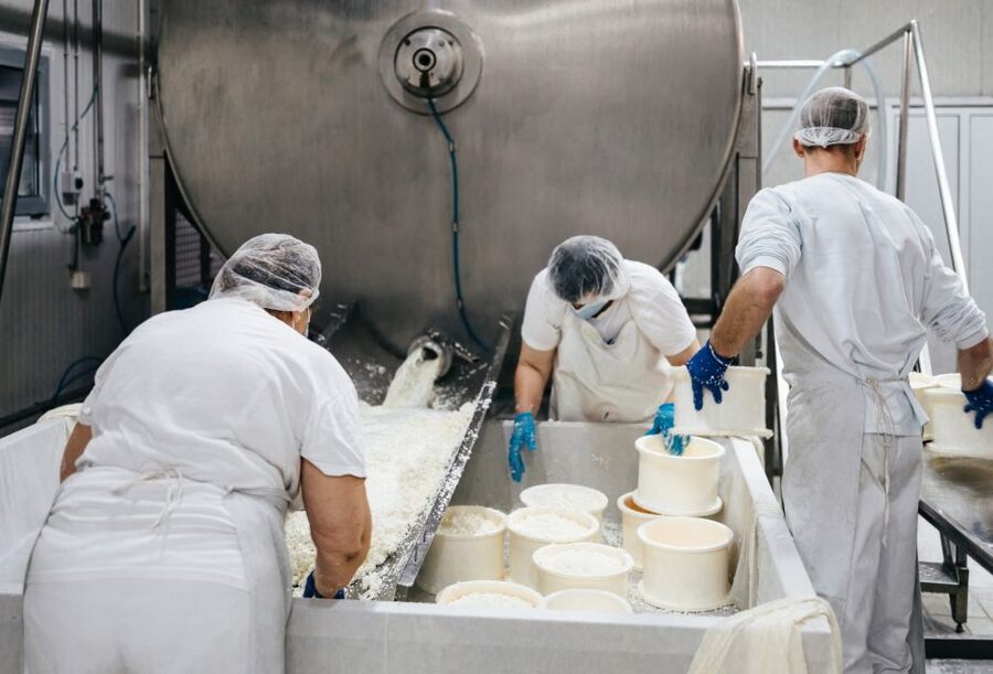 From Bologna: Parma Cheese & Ham Factory Tours and Tastings - Parmigiano Reggiano Producer: Caldare to Maturation Warehouse