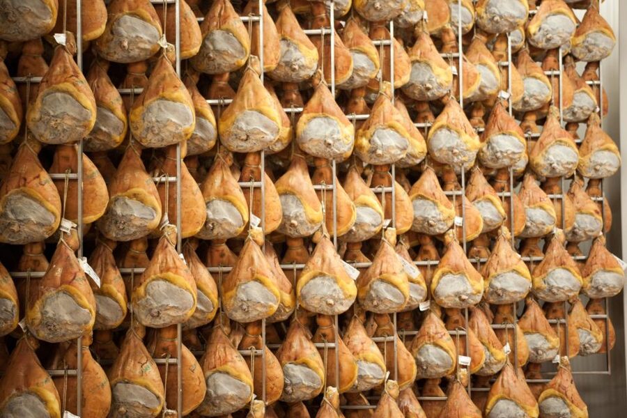 From Bologna: Parma Cheese & Ham Factory Tours and Tastings - How the Parmigiano Tasting Works (Mustards and Wine Included)