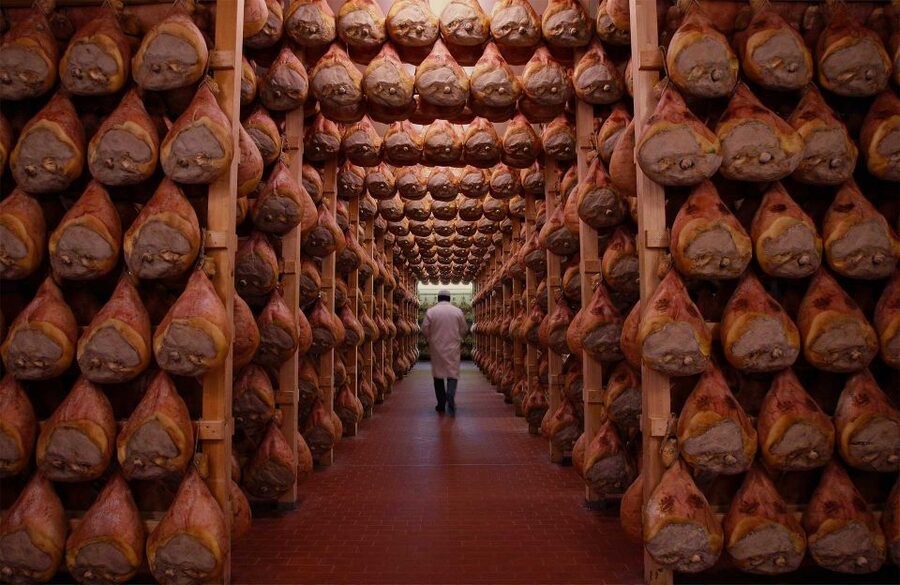 From Bologna: Parma Cheese & Ham Factory Tours and Tastings - Ham and Wine Tasting: What to Expect to Eat