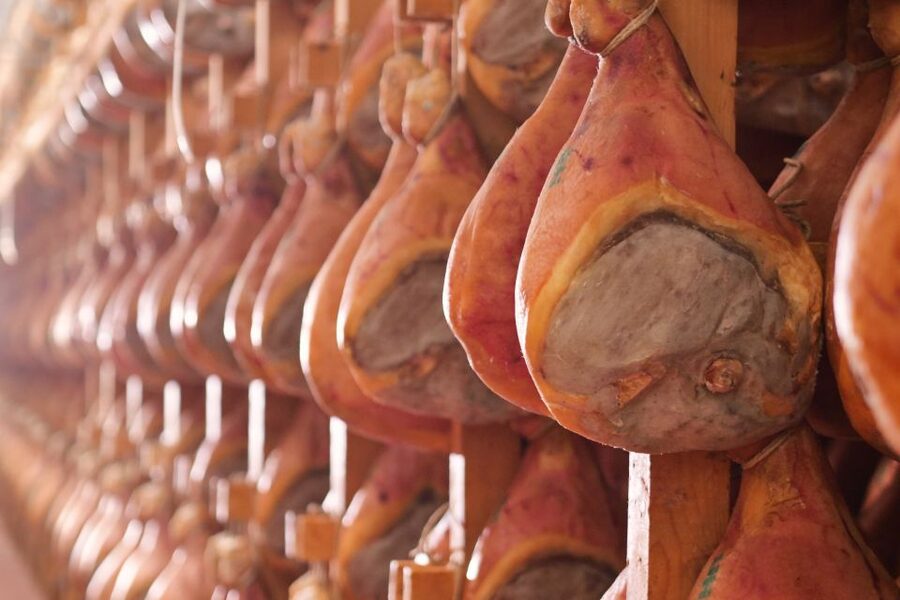 From Bologna: Parma Cheese & Ham Factory Tours and Tastings - Meeting Point Reality Check in Parma (NH Hotel Tip Included)