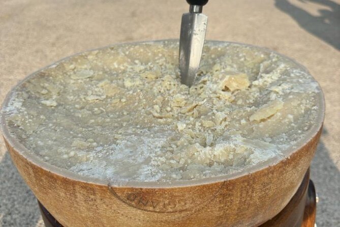 From Bologna: Parmesan Cheese & Balsamic Vinegar Tour+Lunch - Key things to notice before you go