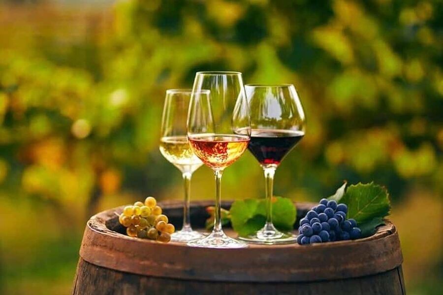 From Chania: Olive Oil, Wine, Cheese & Honey Tasting Tour - Ano Vouves and the Olive Tree of Vouves: the wow factor arrives early