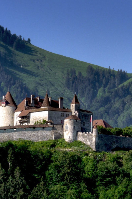 From Geneva: Gruyères Private Tour Cheese & Chocolat Factory - Key things to know before you go