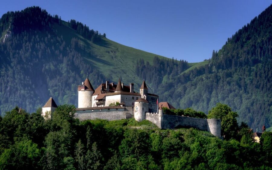 From Geneva: Gruyères Private Tour Cheese & Chocolat Factory - A smooth Geneva-to-Gruyères plan in a private minibus