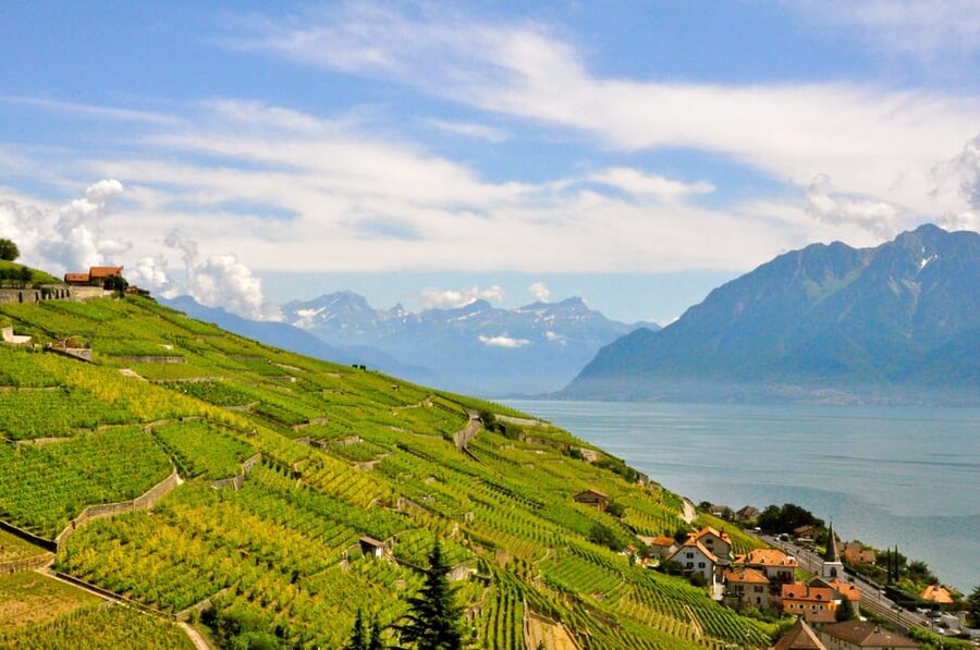 From Geneva: Gruyères Private Tour Cheese & Chocolat Factory - Who this trip fits best (and who might prefer something else)