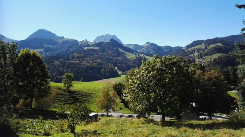 From Geneva: Gruyères Tour with Cheese & Chocolate Factories - Gruyères on the Hill: Castle Views, Cobblestones, and Cowbell Atmosphere