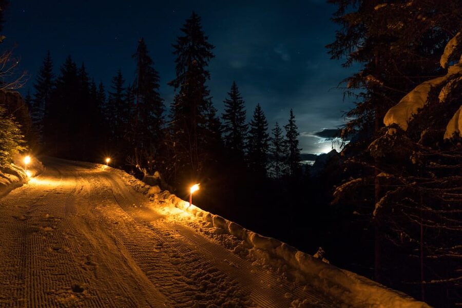 From Interlaken: Night Sledding with Cheese Fondue Dinner - What’s included, and what you’ll need to plan for