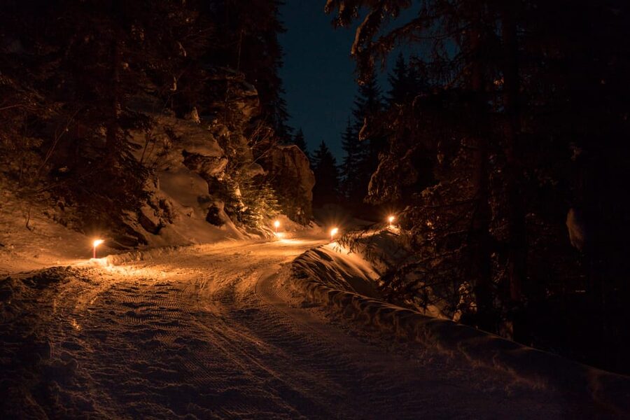 From Interlaken: Night Sledding with Cheese Fondue Dinner - Price and value at about $166 per person