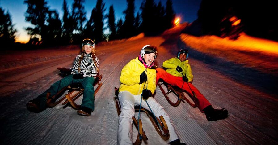 From Interlaken: Night Sledding with Cheese Fondue Dinner - Should you book it?