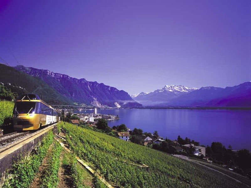 From Lausanne: Gruyères Tour with Train, Chocolate & Cheese - Key things to know before you go