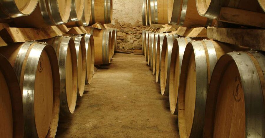 From Marseille: Aix en Provence Wine and Cheese Tour - A full Provence wine day from Marseille (and why it works)