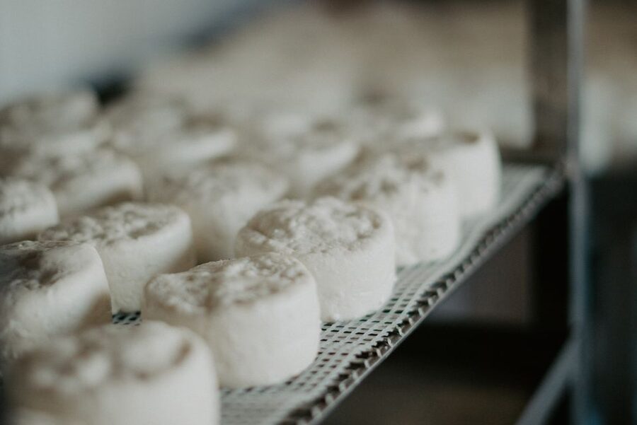 From Marseille: Aix en Provence Wine and Cheese Tour - Goat farm tour: cheese making you can actually picture