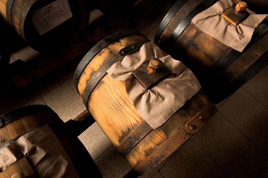 From Parma: Parmesan Cheese, Ham and Balsamic Vinegar Tour - Who should book this Parma-to-Modena day tour