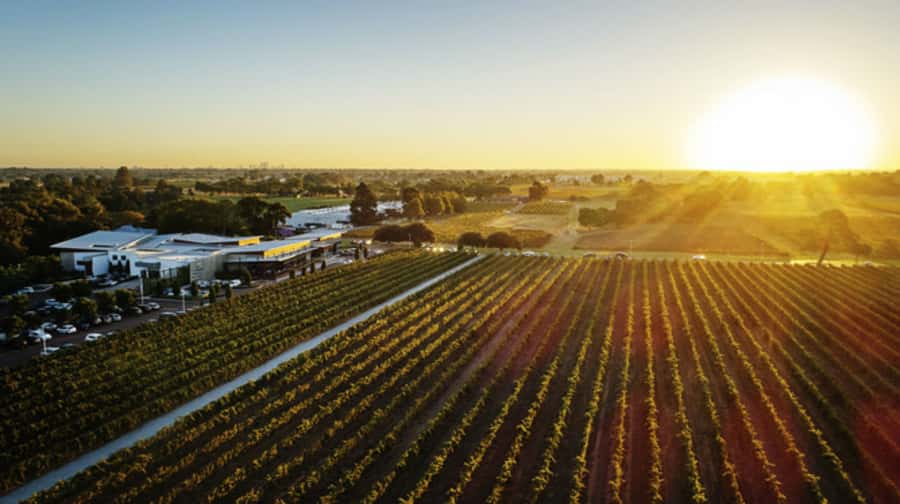 From Perth: Swan Valley Cruise, Winery, Cheese & Lunch - Key takeaways before you go