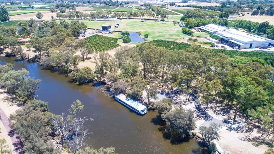 From Perth: Swan Valley Cruise, Winery, Cheese & Lunch - The Mandoon Estate stop: wine and macaron pairing (and what to watch for)