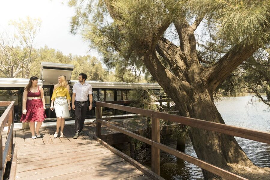 From Perth: Swan Valley Cruise, Winery, Cheese & Lunch - Who should book this tour (and who might not enjoy it)