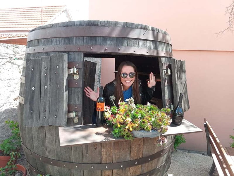 From Split: Krka Waterfalls with Wine & Cheese Tasting Tour - Krka National Park: entering the green and managing expectations