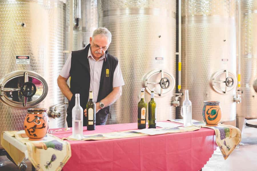 From Sydney: Award-Winning Hunter Valley Wine & Cheese Tour - Key things I’d mark on your radar