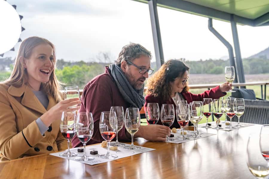 From Sydney: Award-Winning Hunter Valley Wine & Cheese Tour - Wine tasting plan: 20+ bottles, with Hunter Valley classics