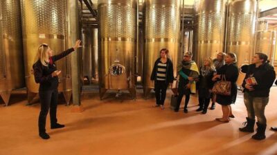 From Sydney: Award-Winning Hunter Valley Wine & Cheese Tour - Boutique cellar doors in Pokolbin: what the 3-4 stops are really for