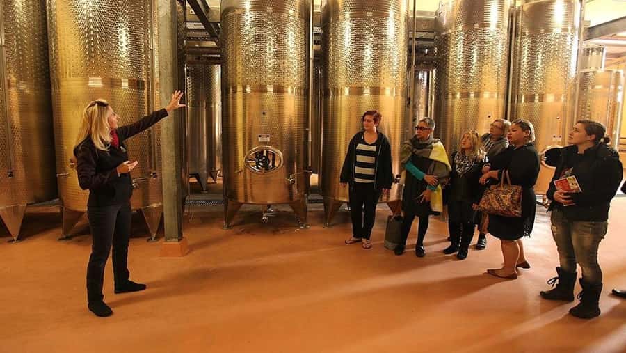 From Sydney: Award-Winning Hunter Valley Wine & Cheese Tour - Boutique cellar doors in Pokolbin: what the 3-4 stops are really for