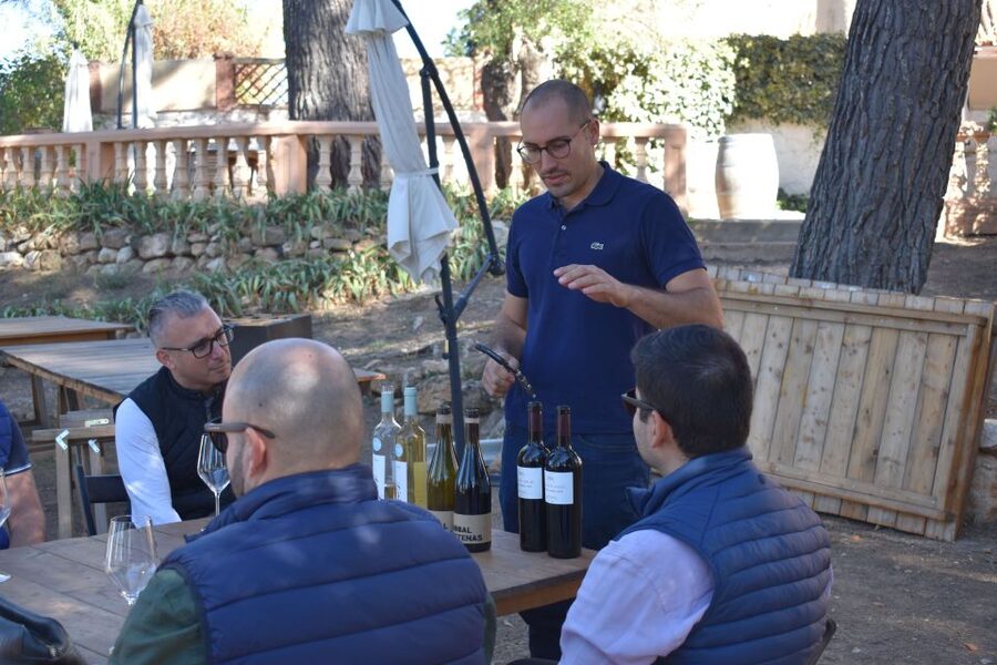 From Valencia: Guided Cheese Factory Tour with Wine Tasting - The Create Your Own Cheese Workshop (and Why It Feels Different)