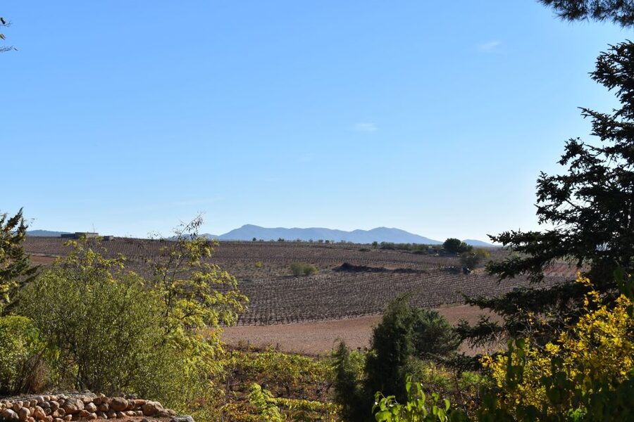 From Valencia: Guided Cheese Factory Tour with Wine Tasting - Caves, Manufacturing, and the 8-Cheese + Unlimited White Wine Tasting
