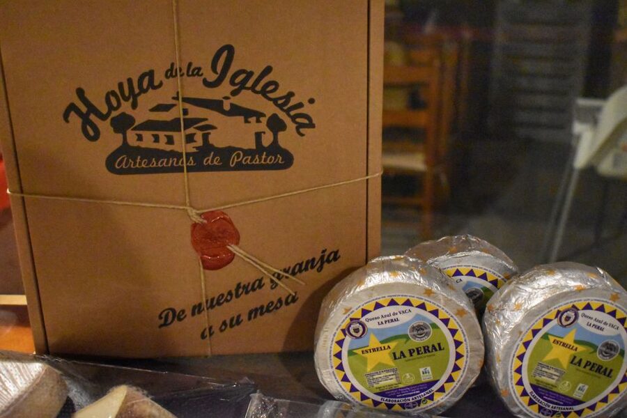 From Valencia: Guided Cheese Factory Tour with Wine Tasting - Small Group Touring: Comfort, Pace, and Who Will Enjoy It Most