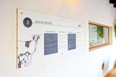 Fuerteventura: Artisan Goat's Cheese Making at Local Farm - Arrival coffee and the farm intro that sets you up