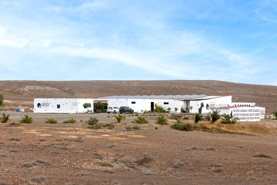 Fuerteventura: Artisan Goat's Cheese Making at Local Farm - The Canarian breakfast break in the garden patio