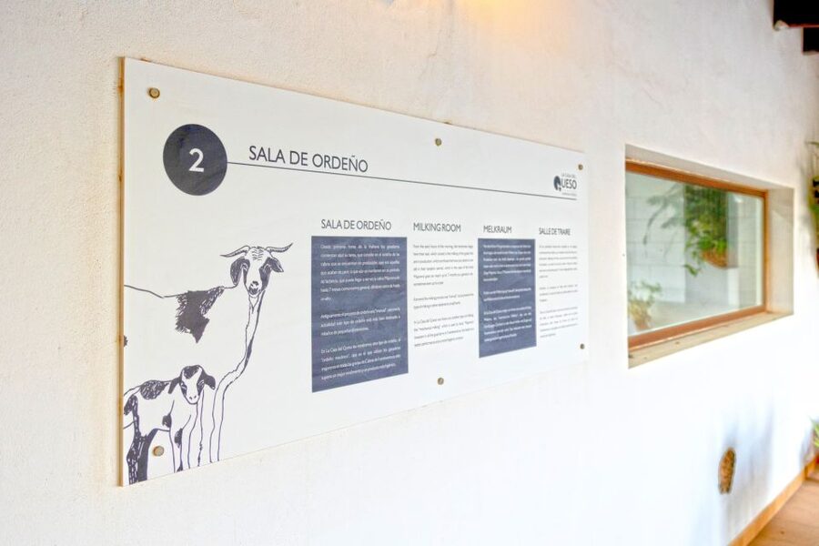 Fuerteventura: Artisan Goat's Cheese Making at Local Farm - Arrival coffee and the farm intro that sets you up