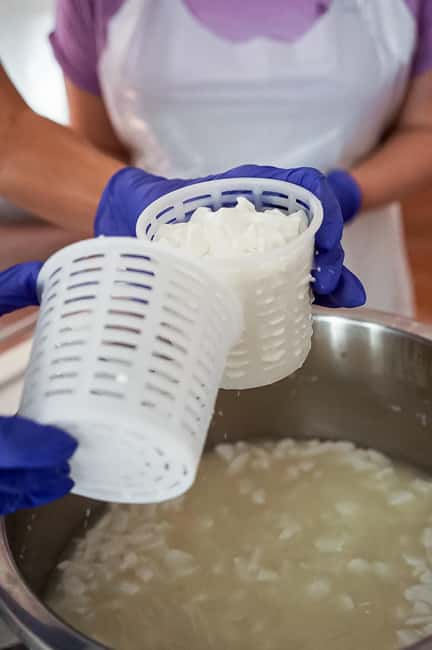 Fuerteventura Goat Cheese Workshop with Transfer from the South - Key takeaways before you go