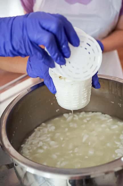 Fuerteventura Goat Cheese Workshop with Transfer from the South - Getting to the working farm from the south, the easy way