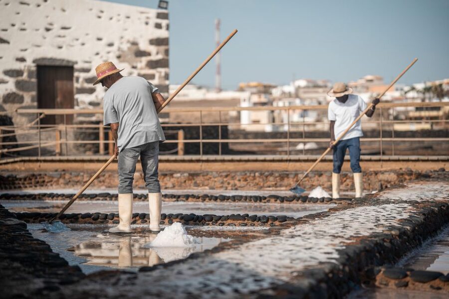 Fuerteventura: Tickets to Salt, Cheese and Windmill Museums - Key highlights worth planning around
