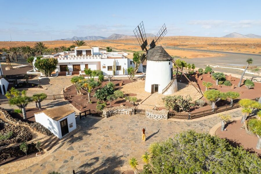 Fuerteventura: Tickets to Salt, Cheese and Windmill Museums - Combo Tickets for Salt, Cheese, and Windmills Across Majorera Culture