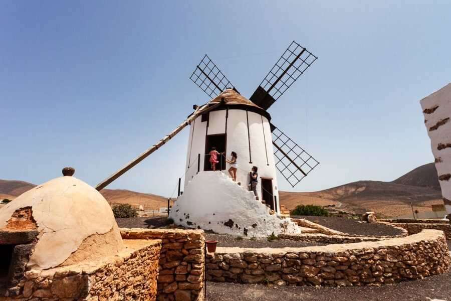Fuerteventura: Tickets to Salt, Cheese and Windmill Museums - Museo del Queso Majorero: What Makes Goat Cheese Majorero So Special