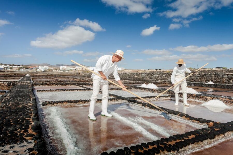Fuerteventura: Tickets to Salt, Cheese and Windmill Museums - Timing Your Day: How Much Time Each Stop Actually Takes