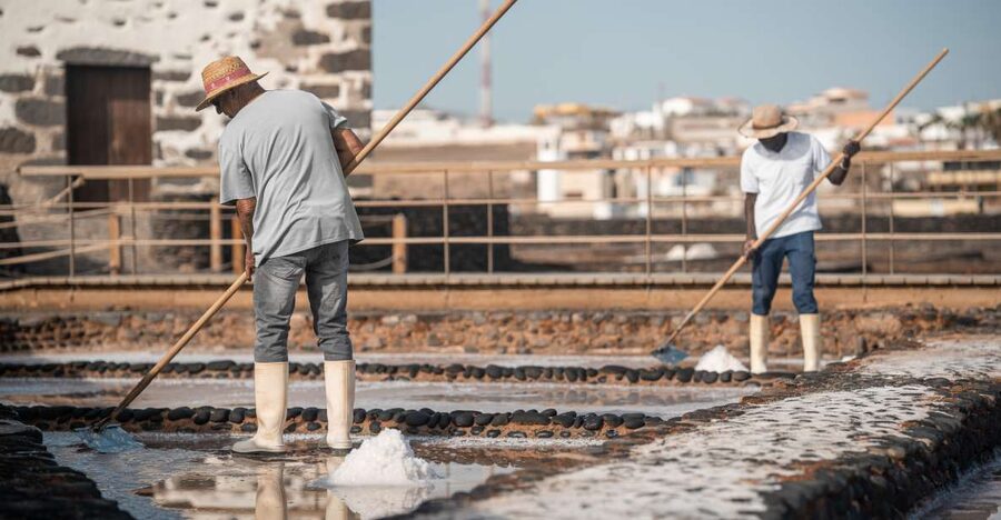 Fuerteventura: Tickets to Salt, Cheese and Windmill Museums - Price and Value: Is $14 for Three Museums a Good Deal?