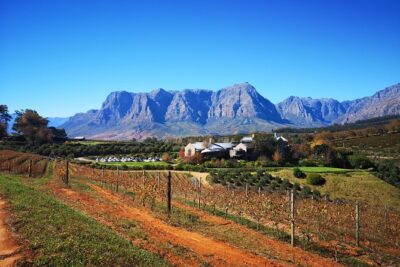 Full-Day Chocolate, Cheese, Olive and Wine Tour from Stellenbosch - Pickup, timing, and staying sane during an 8-hour tasting day