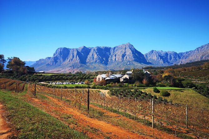 Full-Day Chocolate, Cheese, Olive and Wine Tour from Stellenbosch - Pickup, timing, and staying sane during an 8-hour tasting day