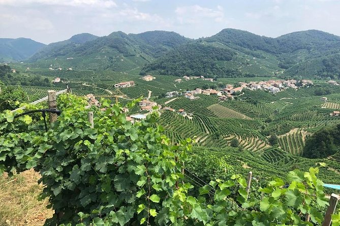 Full Day Prosecco and Cheese Tasting from Venice - Key Highlights to Know Before You Go