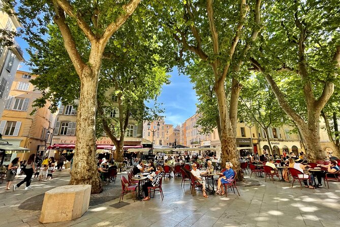 Full-Day Wine and Cheese Tour around Aix-en-Provence from Marseille - Second winery later today: rosé, reds, and aromatic whites in one tasting flow