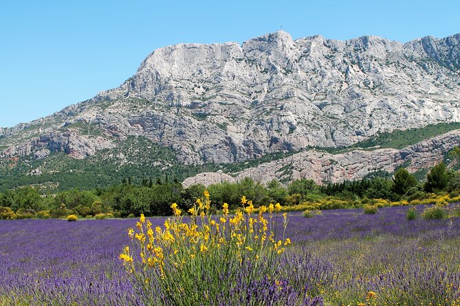 Full-Day Wine and Cheese Tour around Aix-en-Provence from Marseille - The tastings themselves: what you can realistically expect to learn