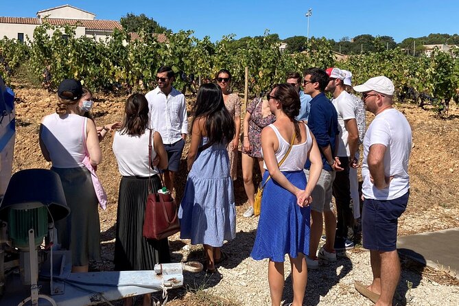 Full-Day Wine and Cheese Tour around Aix-en-Provence from Marseille - Who this tour is best for (and who should look elsewhere)