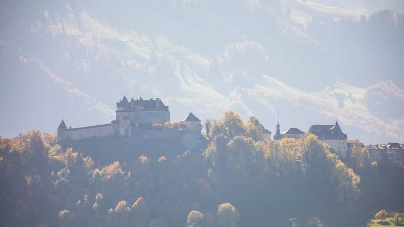 Geneva: Gruyères Tour with Chocolate, Cheese & Golden Train - Tips to make the day feel easy (not rushed)