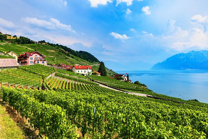 Geneva to Gruyère Private Day Trip. Cheese & Chocolate Tour - Price and what you actually get for $554.44