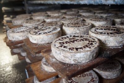 Gouda Private Walking Tour: History, Architecture & Cheese - De Markt: 45 minutes to breathe, snack, and look around