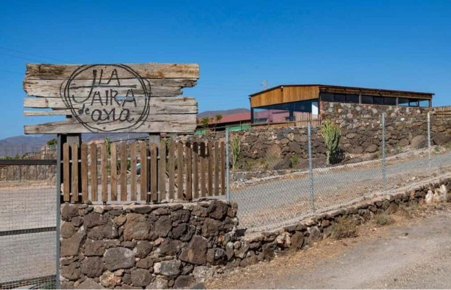 Gran Canaria: Cheese Workshop in Agüimes - 6 things you’ll remember from La Jaira de Ana