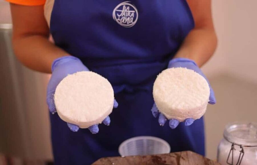 Gran Canaria: Cheese Workshop in Agüimes - Meeting the baby goats at La Jaira de Ana
