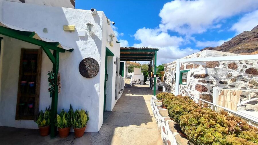 Gran Canaria: Tasting wine & local cheese in Mogan - The Local Restaurant Visit: Where the Setting Adds Value